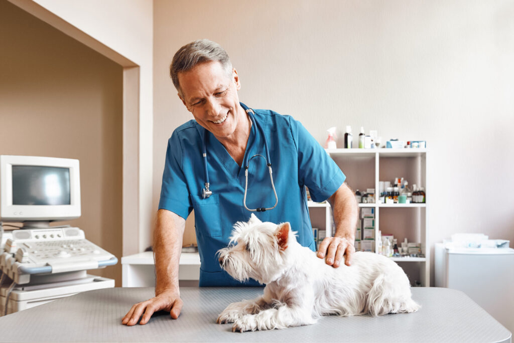 Leave your legacy when selling your veterinary practice