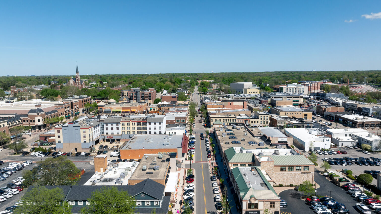 Naperville Vet Practice for Sale